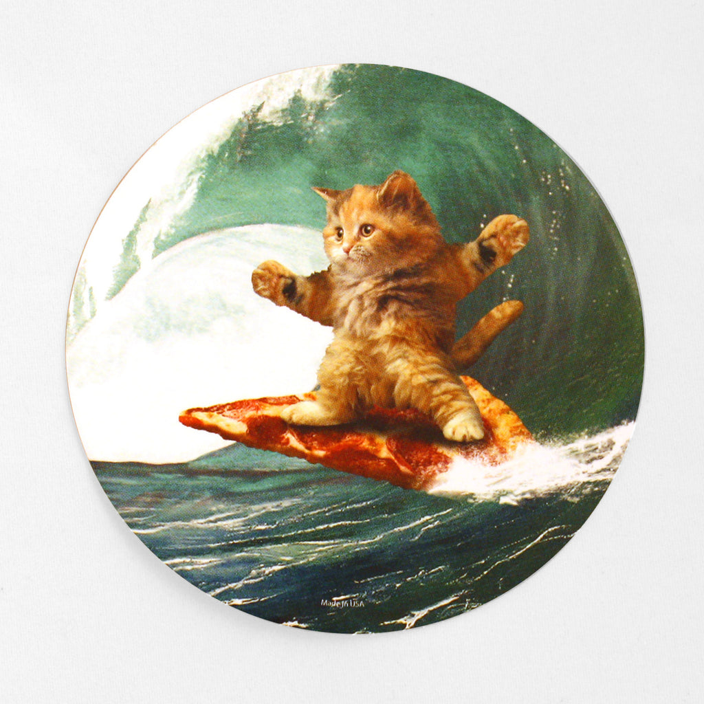 Cat surfing on pizza shirt shop